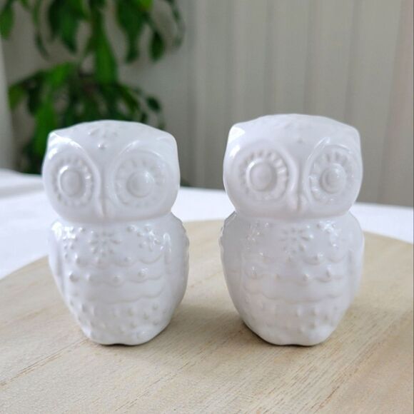 OWL Salt + Pepper Shakers - Picture 1 of 4